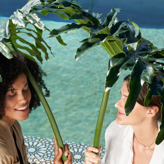 Are You Plant Biased?