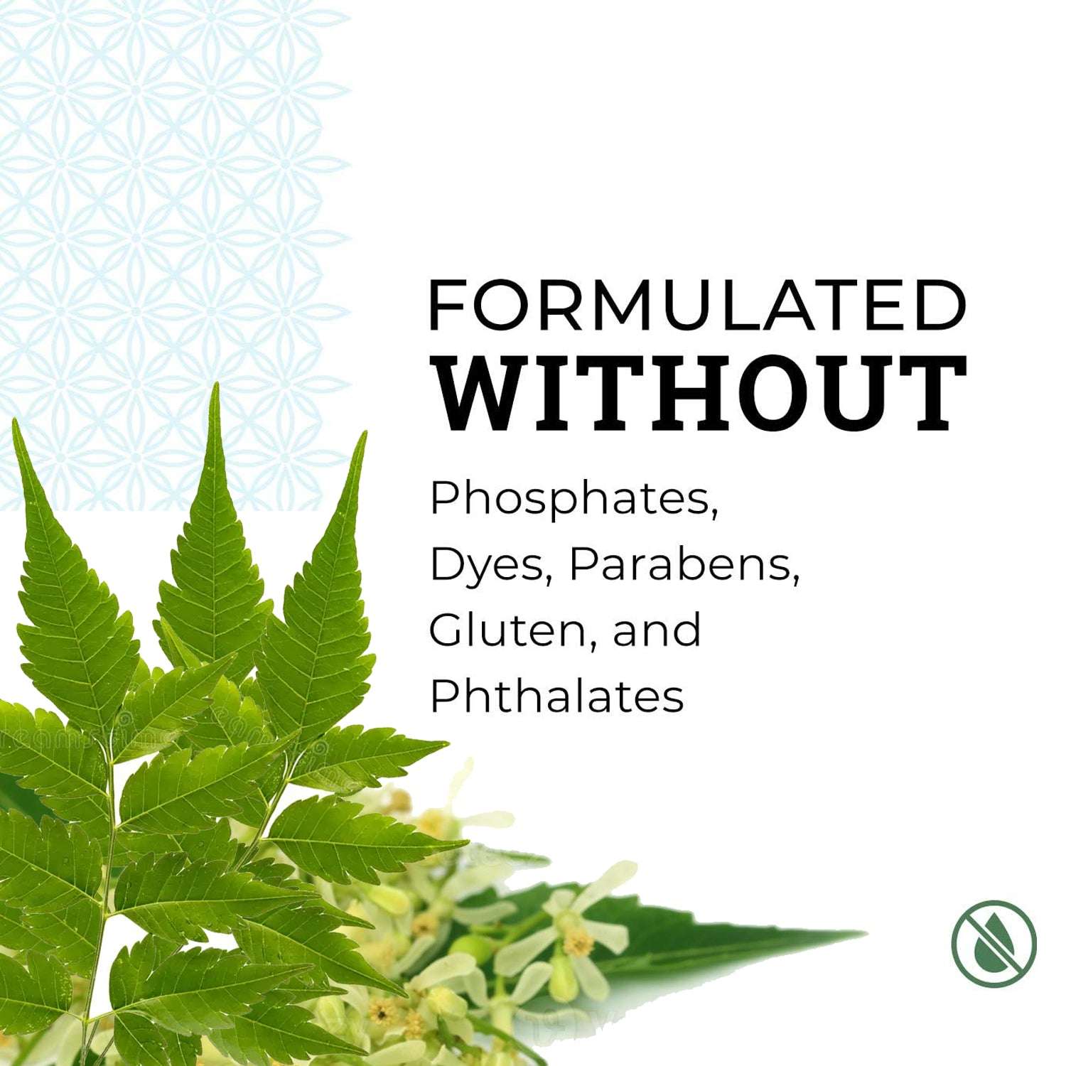 Dis-infectant All Purpose Cleaner - buy 500ml x 3 , get 500 ml free