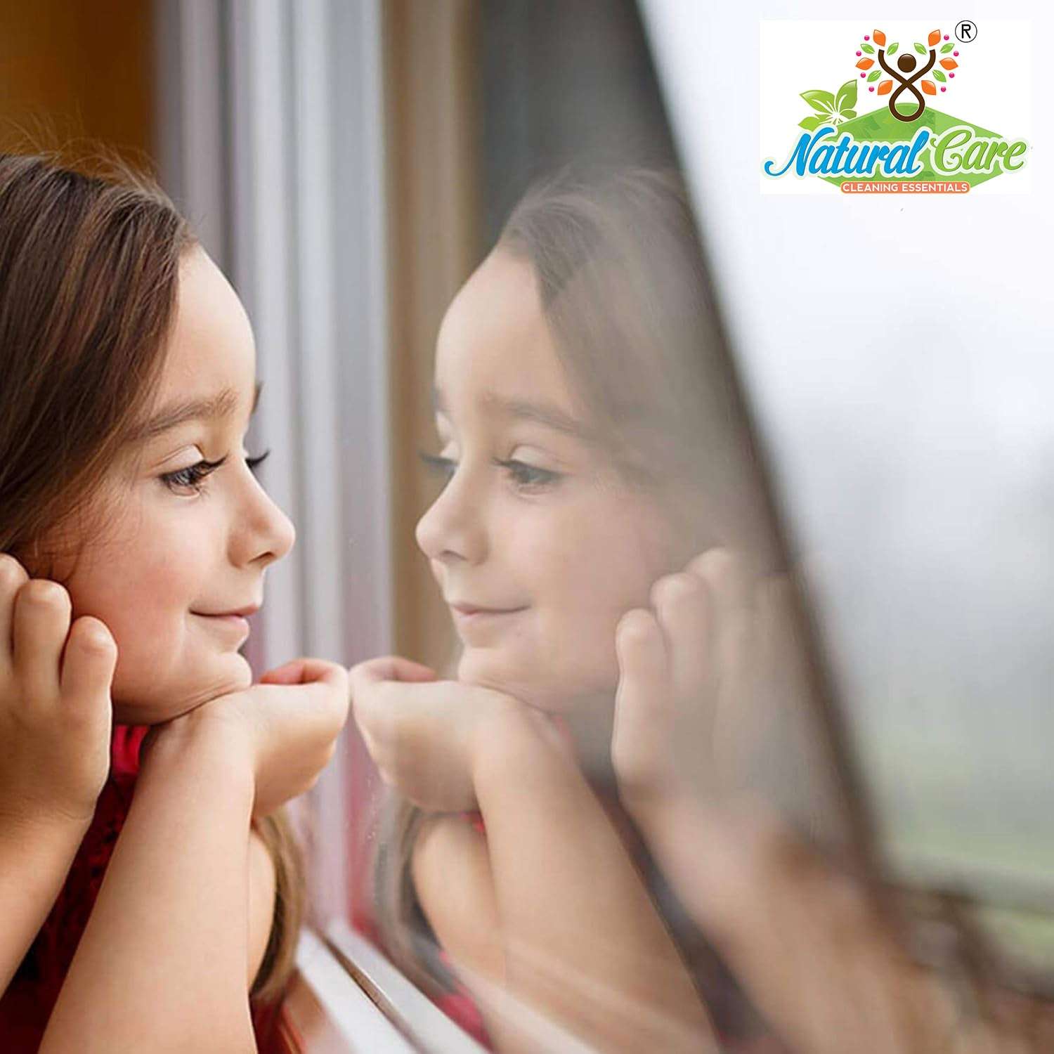 Concentrated Streak-free Glass Cleaner -5 litres