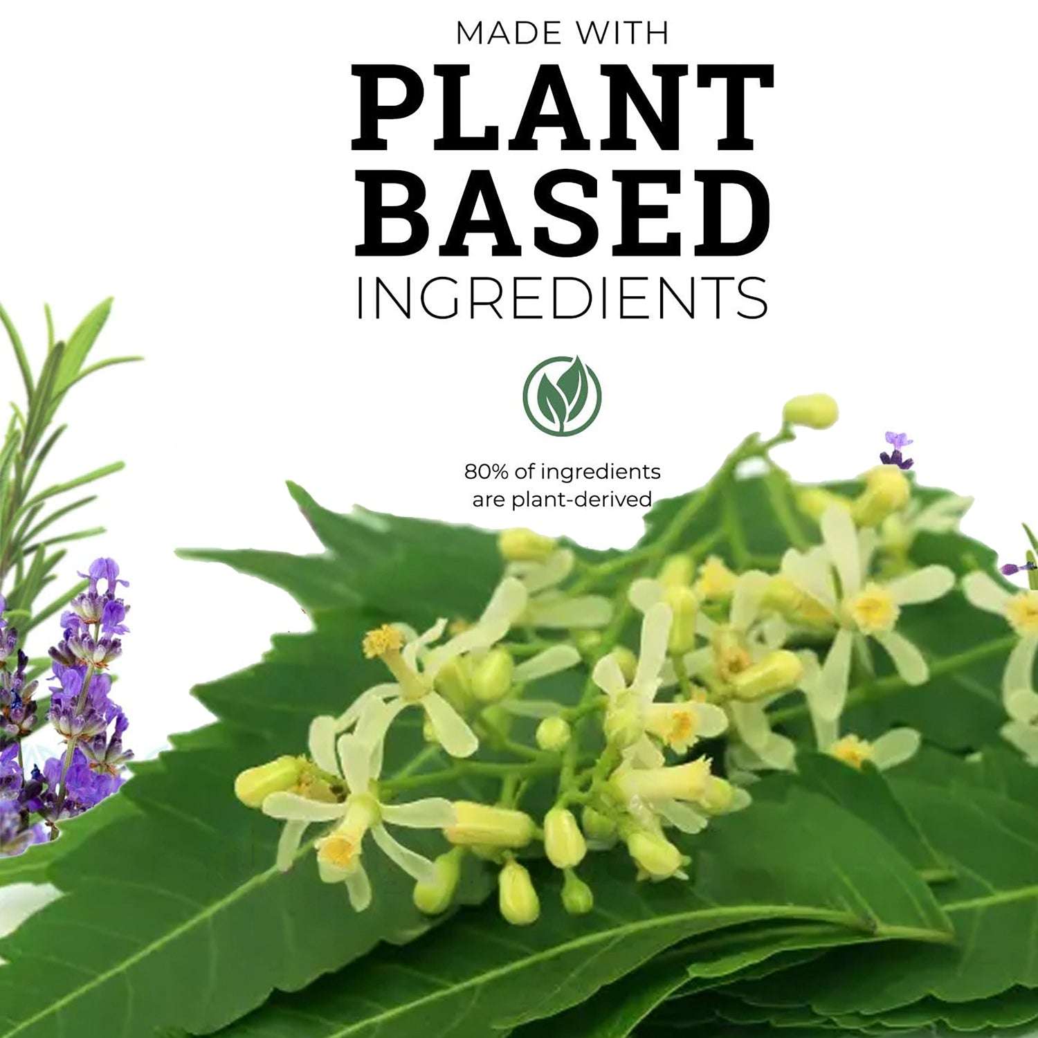 Dis-infectant All Purpose Cleaner - buy 500ml x 3 , get 500 ml free