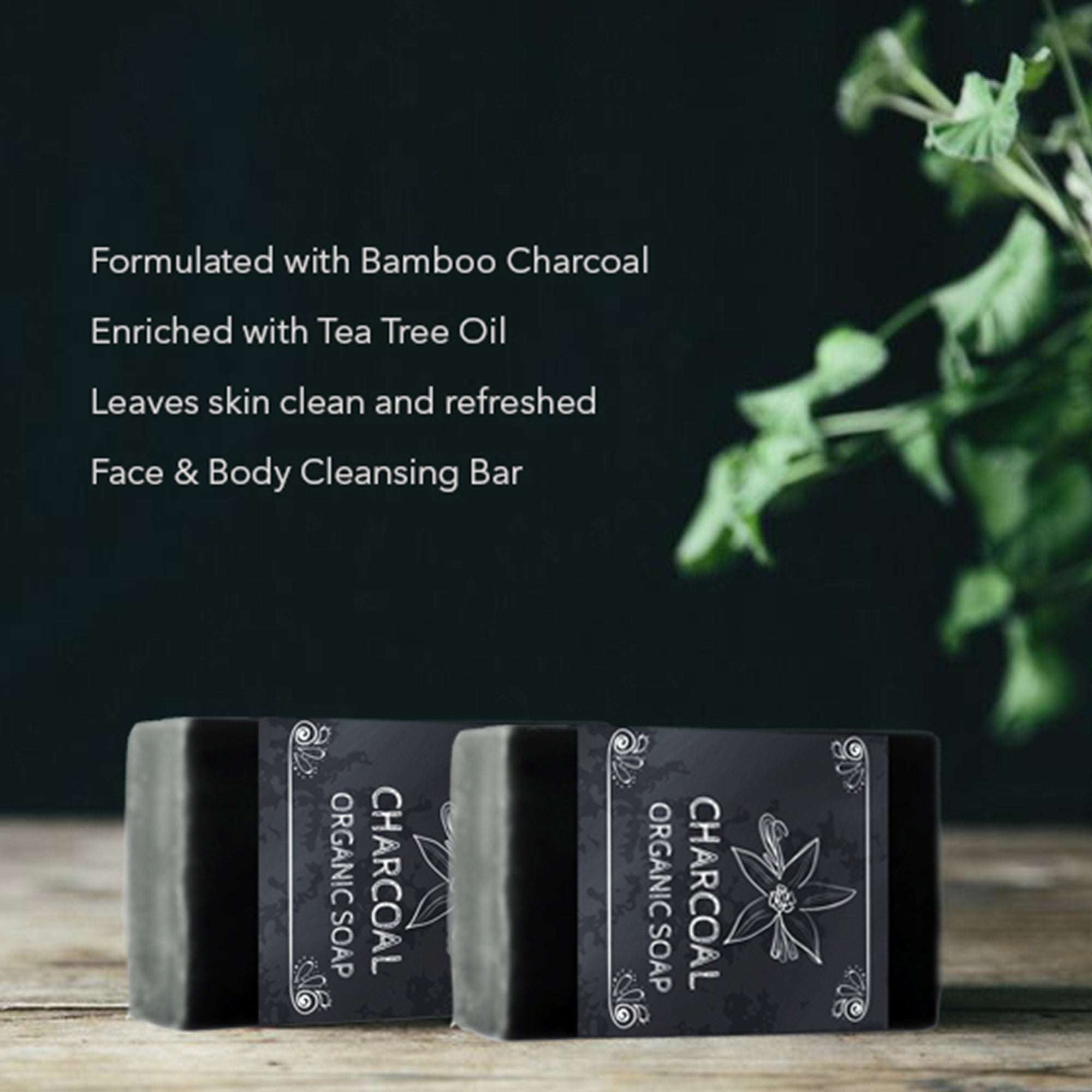 Charcoal & Green Tea  Organic Soap - set of 2 soaps