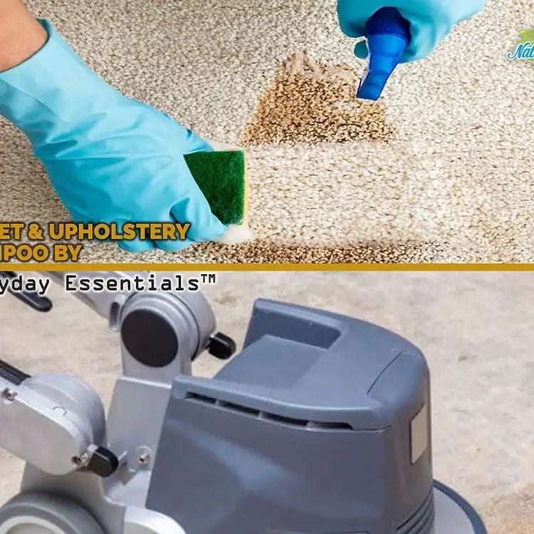 Deep Clean Stains! Carpet & Upholstery Care