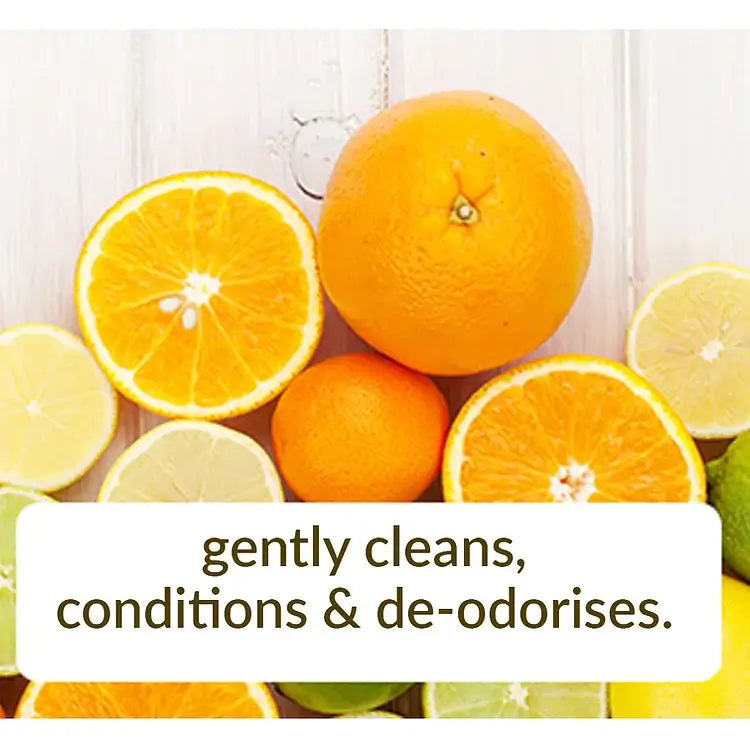 Deep clean carpet cleaner for stains and odors