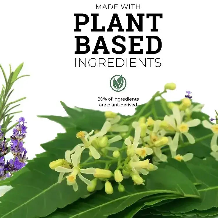 Everyday all purpose cleaner with neem and camphor by NaturalCare