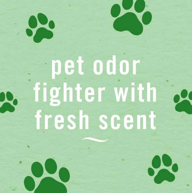 Natural Care Air & Room Freshener Spray + Sanitiser | Non-Toxic Odor Eliminator | Fresh & Alive | 500 ml