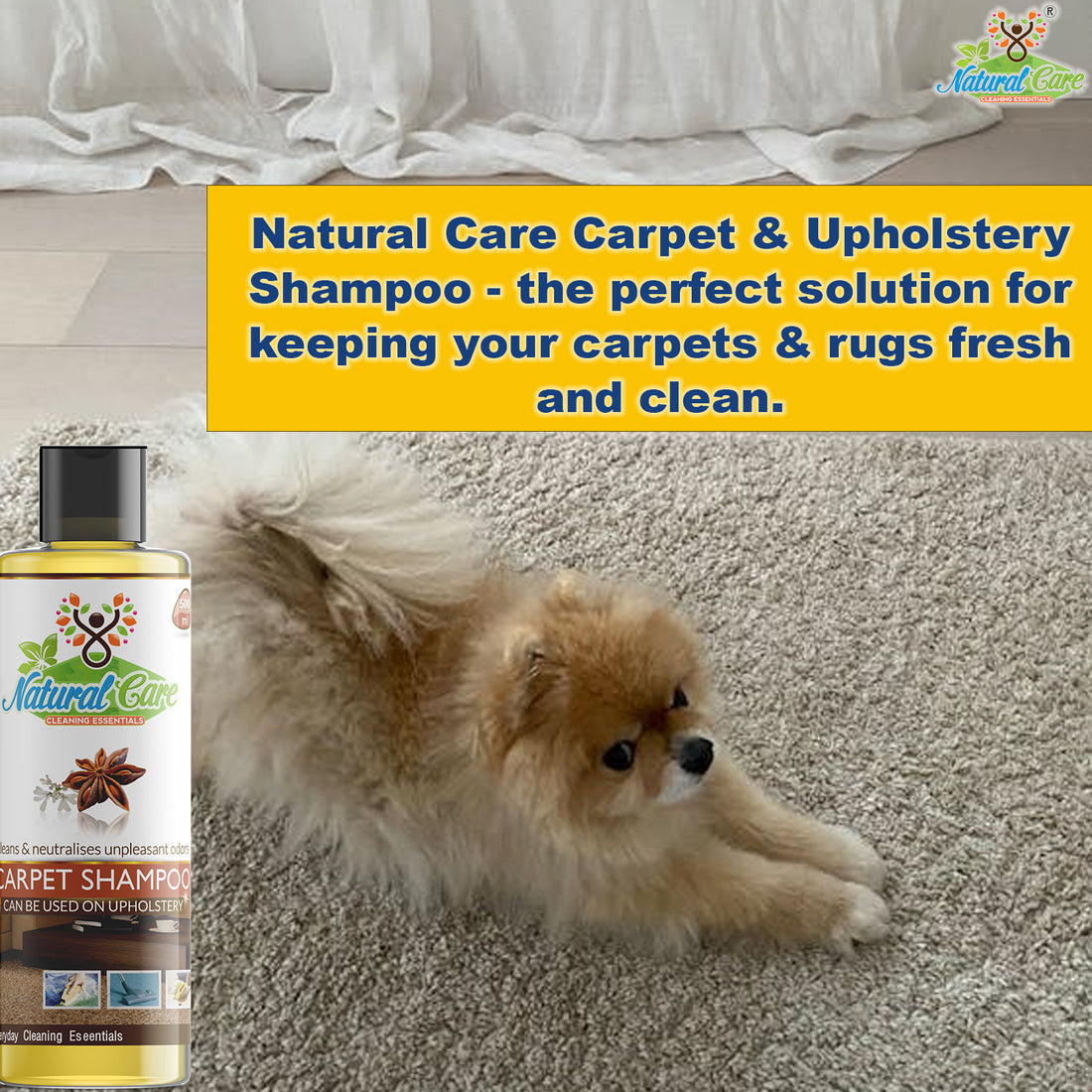 Natural Care Carpet & Upholstery Shampoo bottle shown next to a fluffy tan Pomeranian dog lying on a beige carpet, with a yellow promotional text banner above.